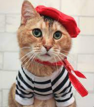 le meow