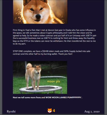 Oscar the Trampoline Shiba