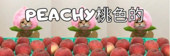 Peachy Cat 桃色的