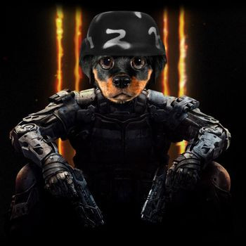 Call Of Doggy