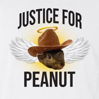 Justice For Peanut