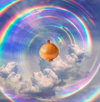 fancy onion