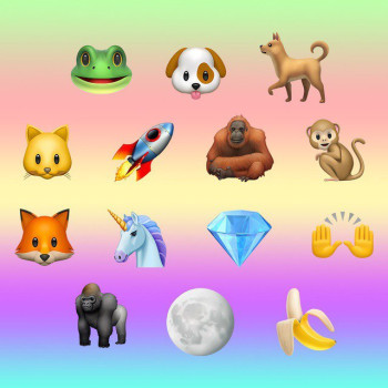 🐸🐶💎😺🚀🐒