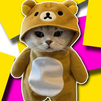 MICU Kitty