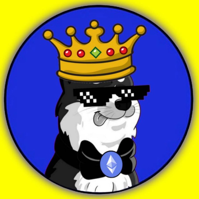 Coin logo