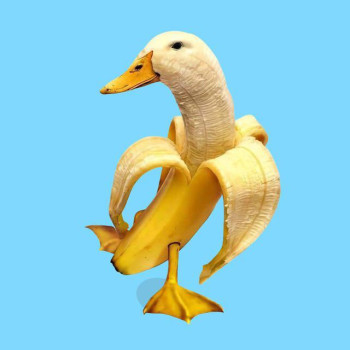 Banana Duck