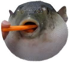 PufferWifCarrot