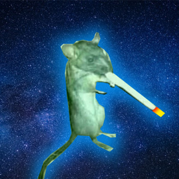 Rattel