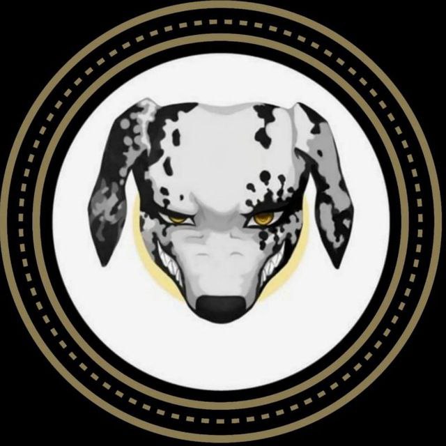 Coin logo