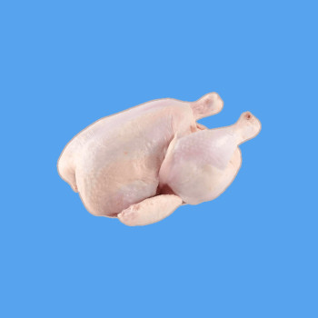 Raw Chicken Experiment