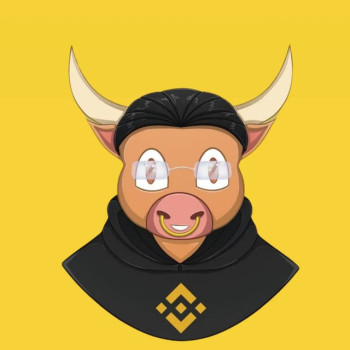 BNBULL