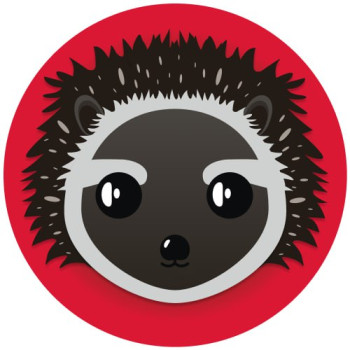 elon-hedgehog