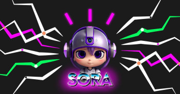 Baby Sora