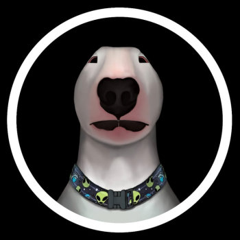 WALTERINU