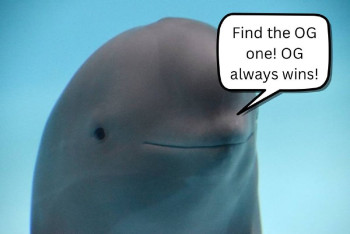 Miharu The Smiling Dolphin