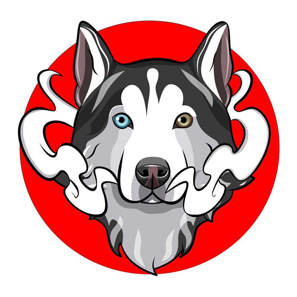 Coin logo